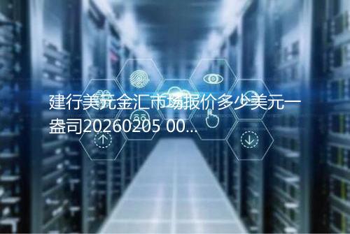 建行美元金汇市场报价多少美元一盎司20260205 0048