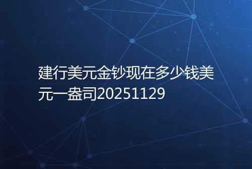 建行美元金钞现在多少钱美元一盎司20251129