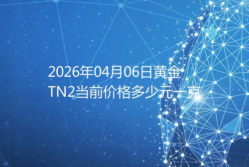 2026年04月06日黄金TN2当前价格多少元一克