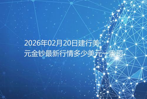 2026年02月20日建行美元金钞最新行情多少美元一盎司