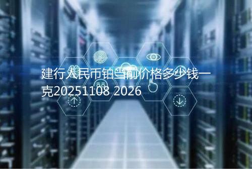 建行人民币铂当前价格多少钱一克20251108 2026