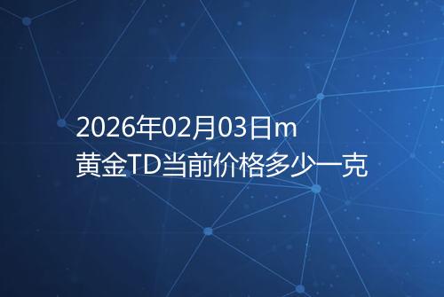 2026年02月03日m黄金TD当前价格多少一克