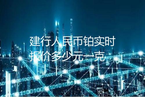 建行人民币铂实时报价多少元一克