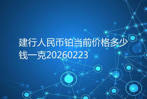 建行人民币铂当前价格多少钱一克20260223