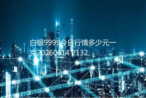 白银9999今日行情多少元一克20260614 2132
