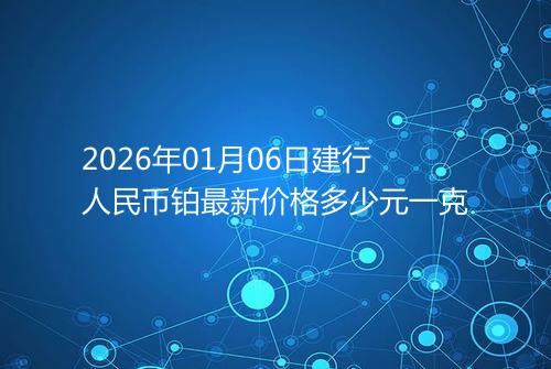 2026年01月06日建行人民币铂最新价格多少元一克