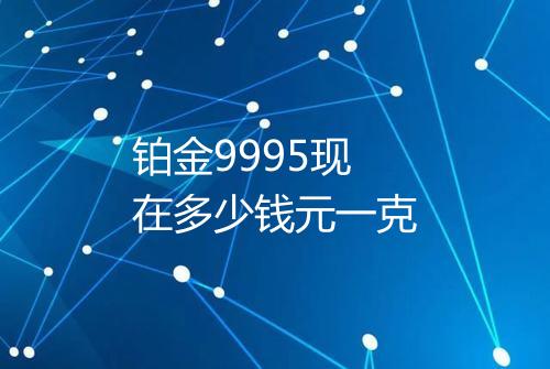 铂金9995现在多少钱元一克