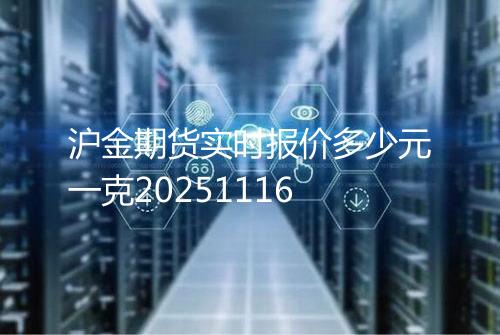 沪金期货实时报价多少元一克20251116