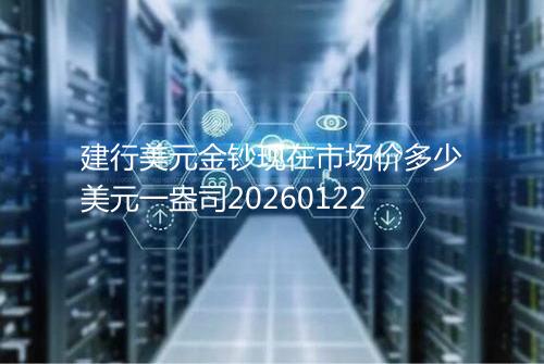 建行美元金钞现在市场价多少美元一盎司20260122