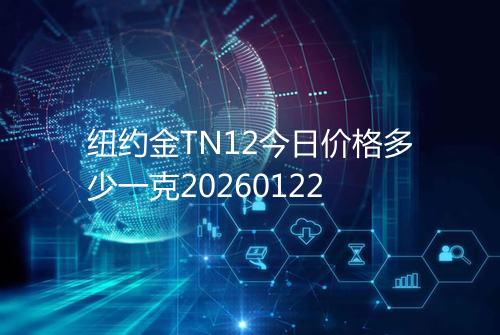 纽约金TN12今日价格多少一克20260122