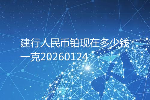 建行人民币铂现在多少钱一克20260124