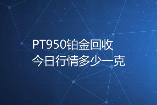 PT950铂金回收今日行情多少一克