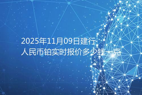 2025年11月09日建行人民币铂实时报价多少钱一克