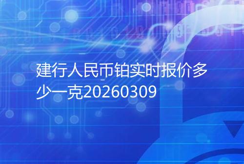 建行人民币铂实时报价多少一克20260309