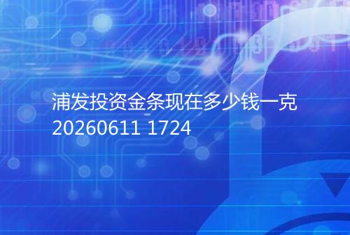 浦发投资金条现在多少钱一克20260611 1724