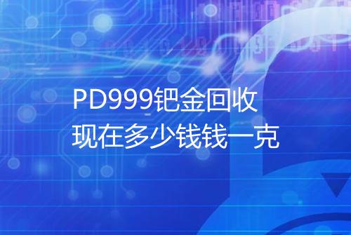 PD999钯金回收现在多少钱钱一克