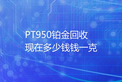 PT950铂金回收现在多少钱钱一克