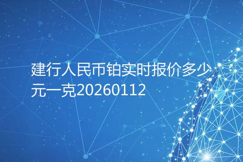 建行人民币铂实时报价多少元一克20260112