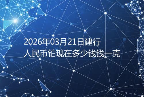 2026年03月21日建行人民币铂现在多少钱钱一克