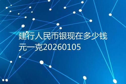 建行人民币银现在多少钱元一克20260105