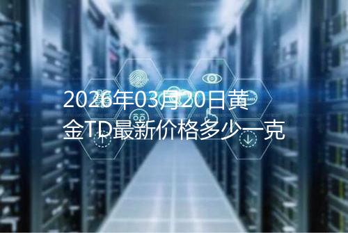 2026年03月20日黄金TD最新价格多少一克