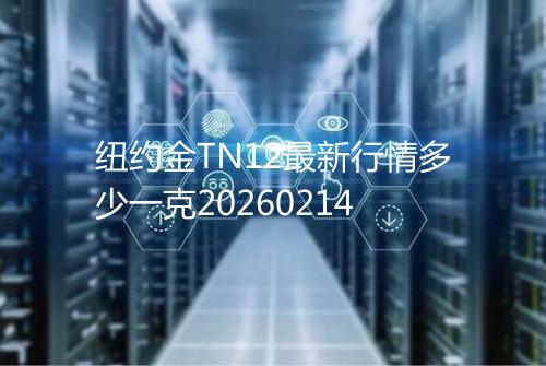 纽约金TN12最新行情多少一克20260214