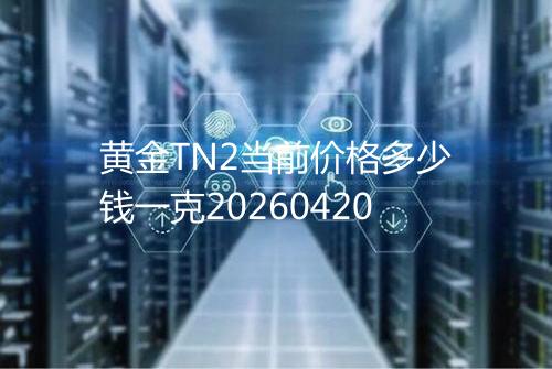 黄金TN2当前价格多少钱一克20260420