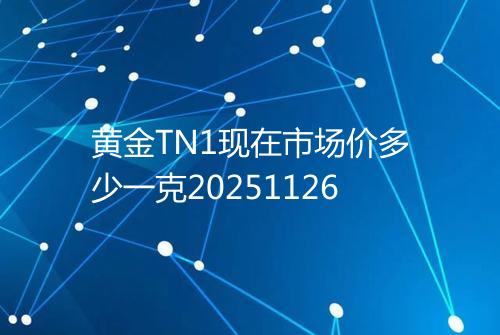 黄金TN1现在市场价多少一克20251126