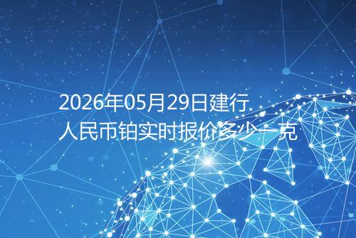 2026年05月29日建行人民币铂实时报价多少一克