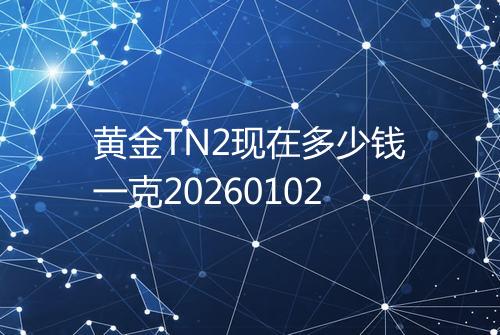 黄金TN2现在多少钱一克20260102
