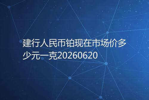 建行人民币铂现在市场价多少元一克20260620