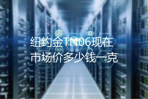 纽约金TN06现在市场价多少钱一克