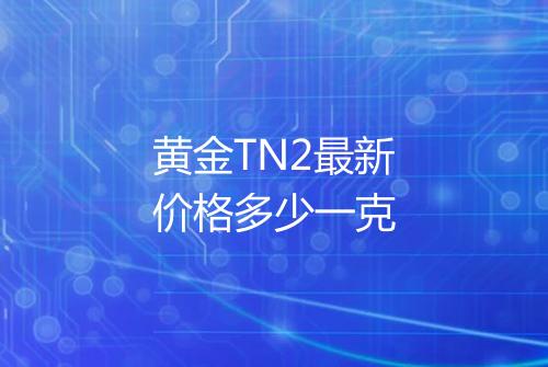 黄金TN2最新价格多少一克