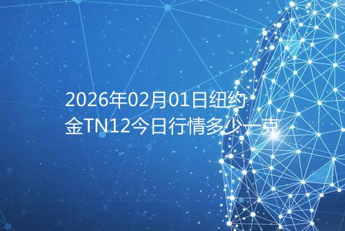2026年02月01日纽约金TN12今日行情多少一克