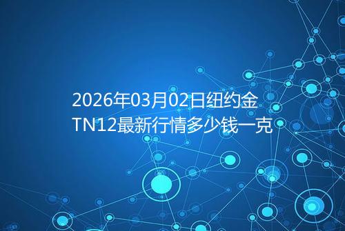 2026年03月02日纽约金TN12最新行情多少钱一克